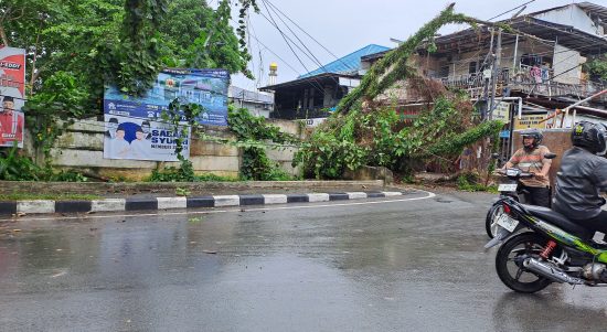 Pohon di Area Taman 3 Generasi