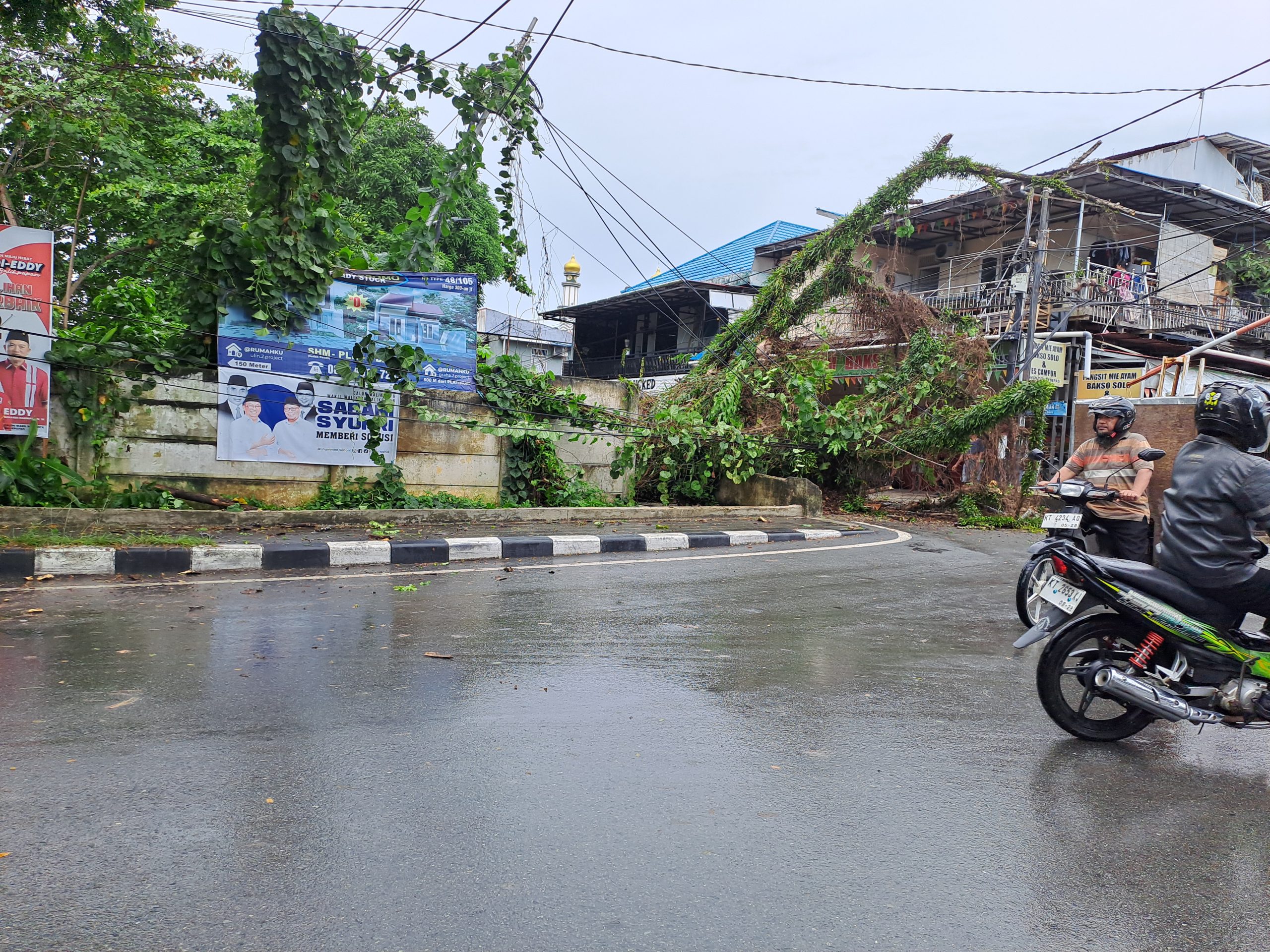Pohon di Area Taman 3 Generasi